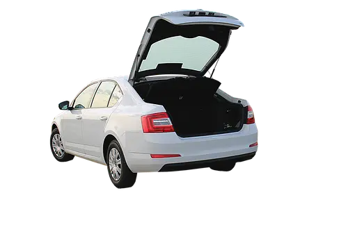 Trunk-Lockout--Trunk-Lockout-24202-image
